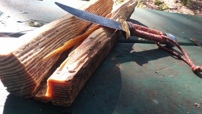 20171111_102843.jpg