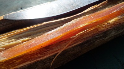 20171111_110834.jpg