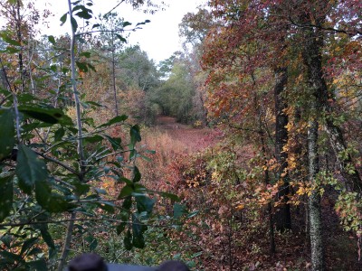IMG_1398.JPG