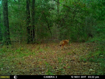 #2 continuing on down the trail.