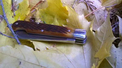 WP_20171114_010.jpg