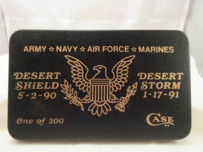 DesertStorm (2).JPG