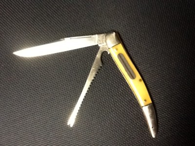image.jpeg