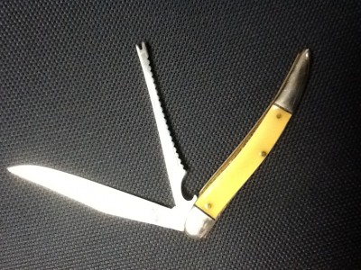 image.jpeg