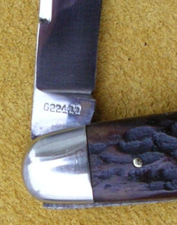 IMGP3086.JPG