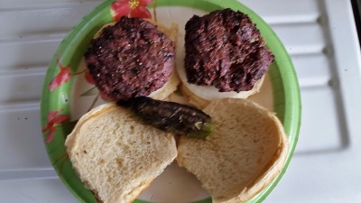 Antelope Burgers ready to chow.jpg