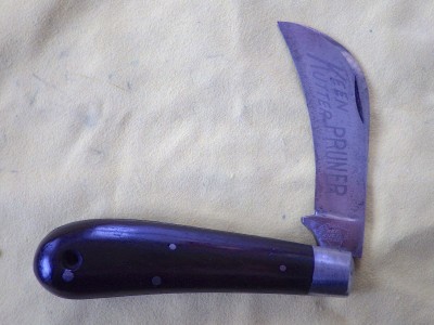 RIMG1109.JPG