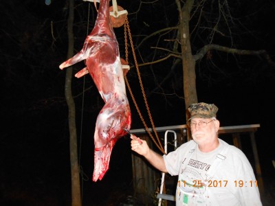 One blade, one deer, still sharp.