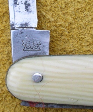 IMGP3100.JPG