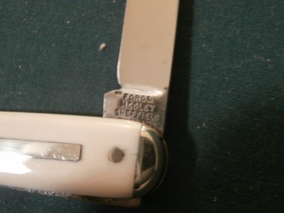 PB260014.JPG