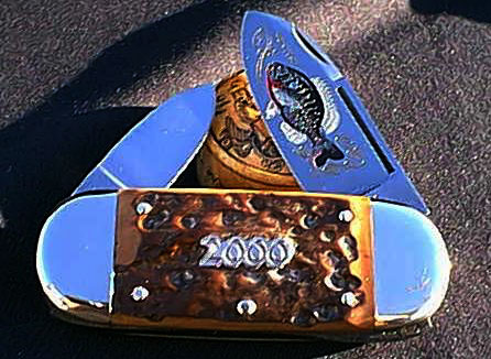 sunfish-bark08.jpg