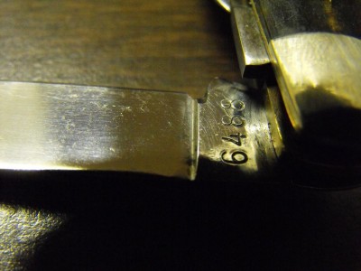 DSCF3118.JPG