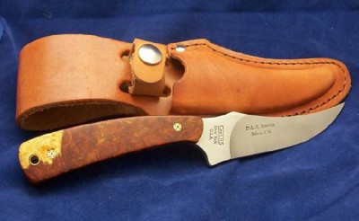 152 desert ironwood.JPG