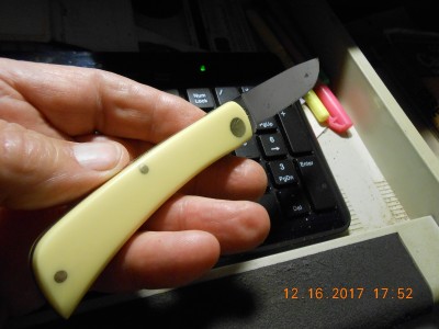 Case 3137 CV Sodbuster Jr.