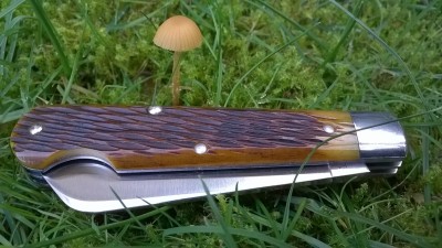 WP_20171222_013.jpg