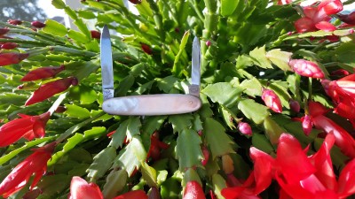 20171223_095122.jpg