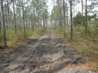 Before controlled burn