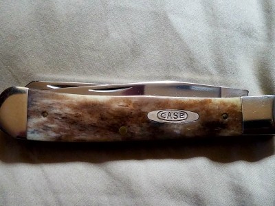 Appaloosa bone