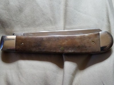 Appaloosa bone