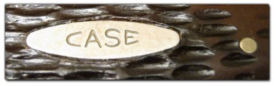 Case &quot;composition&quot; shield