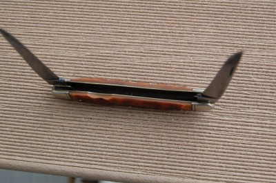 DSC_1407.JPG