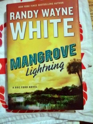 Mangrove Lightning.jpg