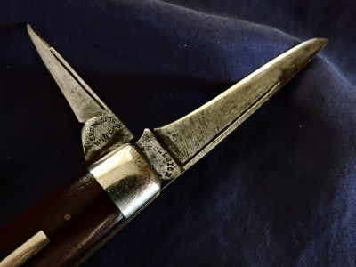 DSCN9659.JPG