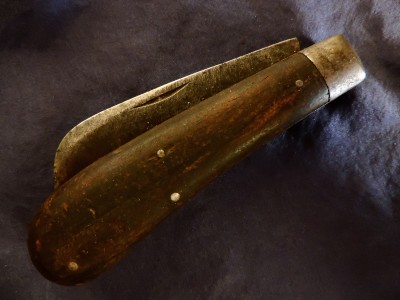 DSCN9723.JPG