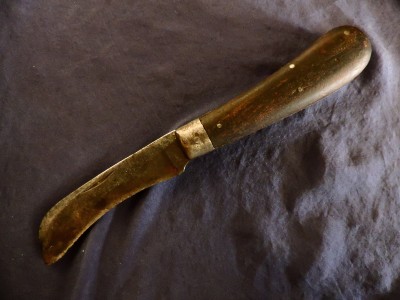 DSCN9727.JPG