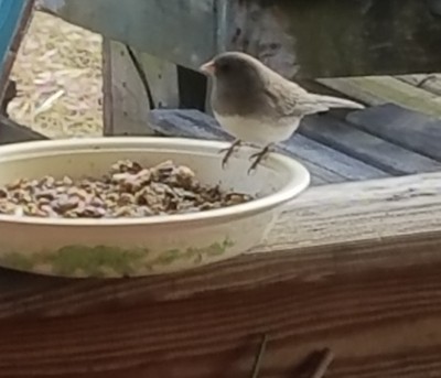 20171231_101851.jpg