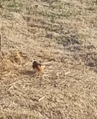 20180101_084046.jpg