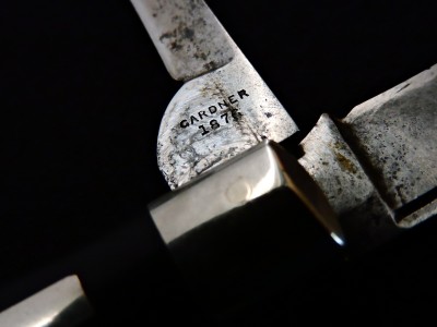DCN9983 (1).JPG