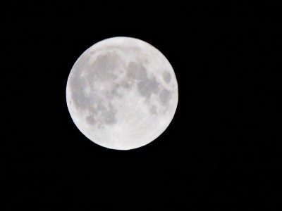 DSCN9753.JPG