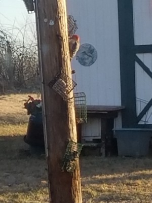20180102_075658.jpg