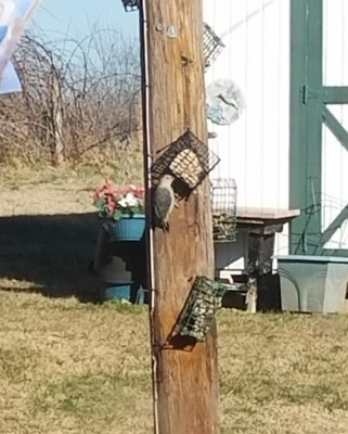 20180101_135947.jpg