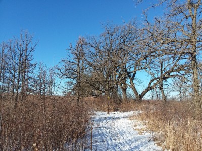 20180102_094110.jpg
