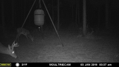 This one that needs to come by for a visit.