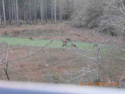 DSCN4248.JPG