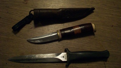 Gerber and Scand. Jan 2018 001.JPG