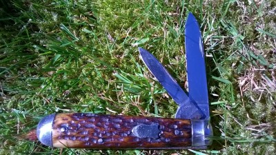 WP_20170729_008.jpg