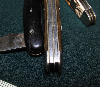 CIMG6891.JPG