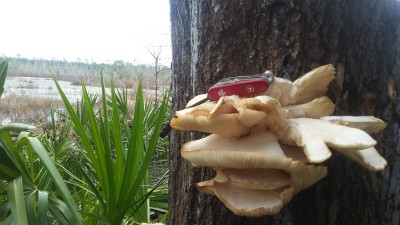 20180111_143648.jpg