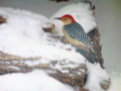 P1020192.JPG