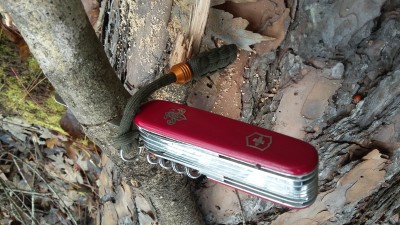 20180113_121957.jpg