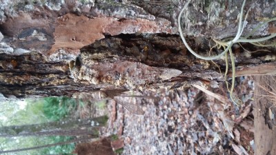 20180113_113836.jpg