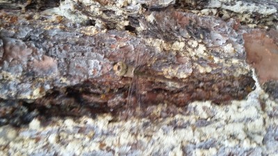20180113_113639.jpg