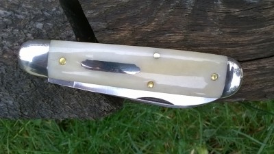 WP_20180113_004.jpg