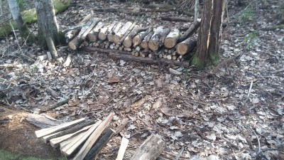 20180116_153848.jpg