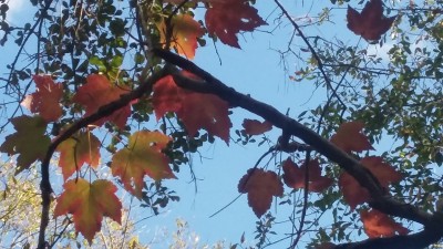 20180116_143752.jpg
