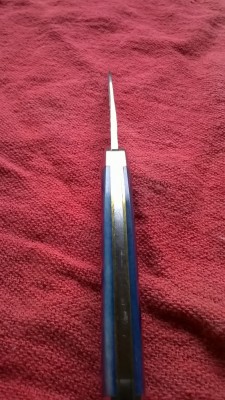 WP_20180117_006.jpg